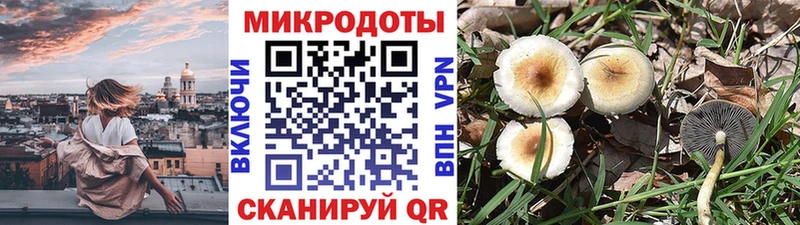 Галлюциногенные грибы мицелий  сколько стоит  Унеча 